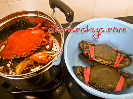 KEPITING MASAK DAN MENTAH