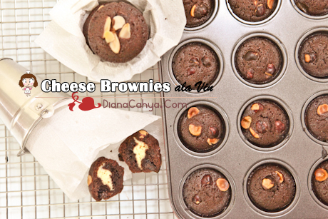 BROWNIES ALA VIN-9466