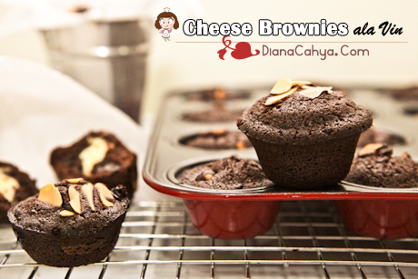 BROWNIES ALA VIN-9477